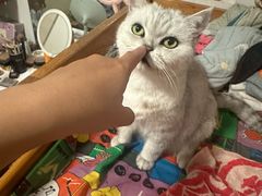 -簋街