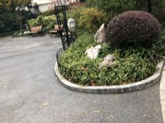 -兰溪青年公园