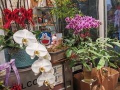 -FEI FEI FLOWER鲜花店·气球派对·宝宝宴布置(虹口德必运动Loft店)