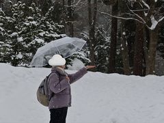 -北海道神宫