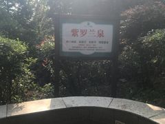 温泉-江南天池高山汤泉城