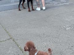 -宠颐生中康贝怡动物医院