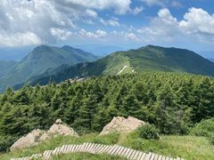 -白草畔自然风景区