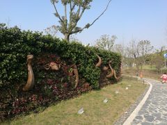 -上海佘山国家森林公园东门地面停车场