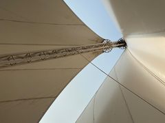 -第35届青岛国际啤酒节