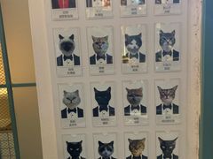 -喵屿·大理花园猫咖