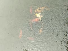-八卦田遗址公园