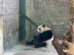 -黔灵山公园