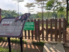 -王借岗森林公园