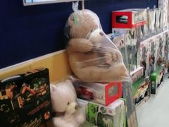 -能量学院少儿体能运动馆(公园1872店)