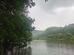 -南国桃园旅游度假区