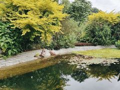 -云溪植物园