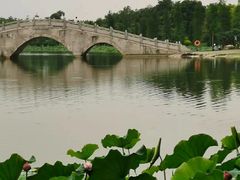 -飞来湖湿地公园