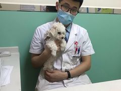 -全心全意连锁动物医院(石景山店)