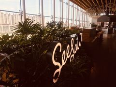 -Seesaw Coffee(朝阳大悦城店)