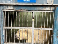 -泉城欧乐堡海洋极地世界