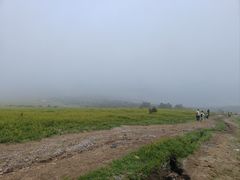 -灵山