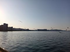 -悦海公园