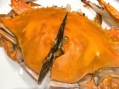 -北塘海鲜·天津菜(大光明桥旗舰店)