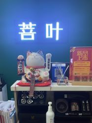 -菩叶脱发白发中心