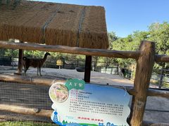 -青藏高原野生动物园