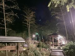 -江南天池高山汤泉城