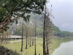 -星湖旅游景区七星岩