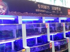 水产区-七欣天(浦东羽山乐坊店)