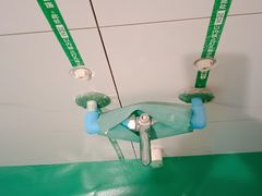 -大树装饰·十年本土家装