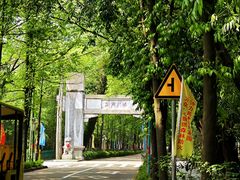 -鼎湖山风景区