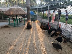 -三亚亚龙湾天域度假酒店