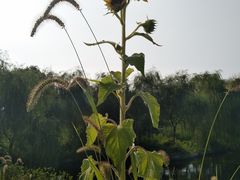 -千龙湖生态旅游度假区