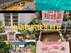 -HERRE·FARM 赫尔露营农场·团建聚会包场