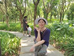 -东莞植物园