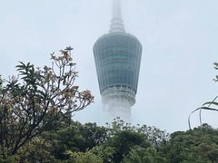 -梧桐山风景名胜区