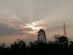 -王借岗森林公园
