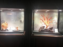 -绮丽珊瑚(台北101旗舰门市店)