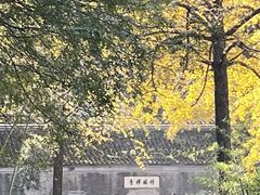 -镇江市南山风景名胜区竹林景区