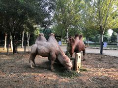 -长白岛森林公园