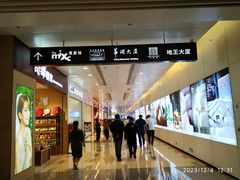 -大剧院(地铁站)