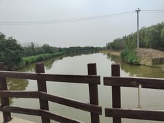 -西青郊野公园