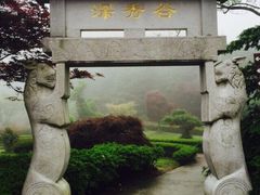 -四明山国家森林公园