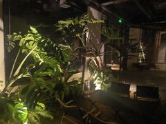 -J Create城市露营咖啡·简餐·宠物(上海动物园店)