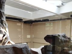 -宁波野生动物园