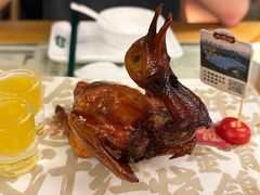 -大鸽饭(北京路店)