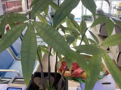 -万达广场(松江店)