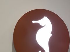 -海马体大师店(广州天汇广场IGC大师店)