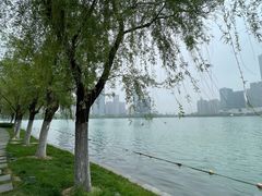 -天鹅湖体育公园