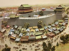 -美国自然历史博物馆