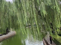 -团结湖公园